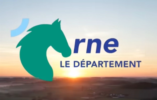 Logo frauduleux