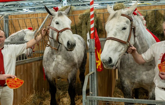 Palmarès SIA 2026 ©D.Commenchal-CD61