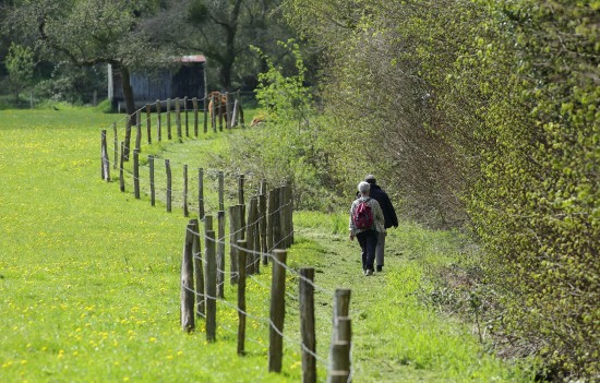 Randos 61 2026 - C.Aubert.jpg