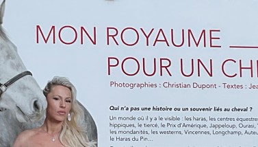 Exposition Mon Royaume pour un Cheval 2023 ©CD61