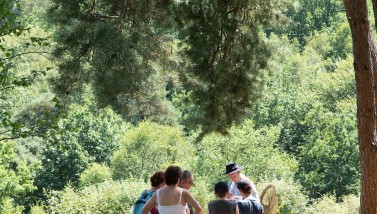 L’Orne côté nature : 42 sorties en aoû