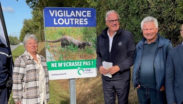 Vigilance loutres 2025 ©CD61