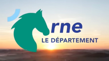 Logo frauduleux
