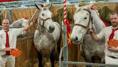 Palmarès SIA 2026 ©D.Commenchal-CD61