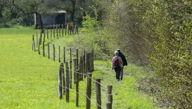 Randos 61 2026 - C.Aubert.jpg