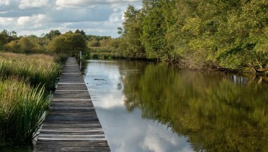 Marais du Grand Hazé ©D.Commenchal-CD61