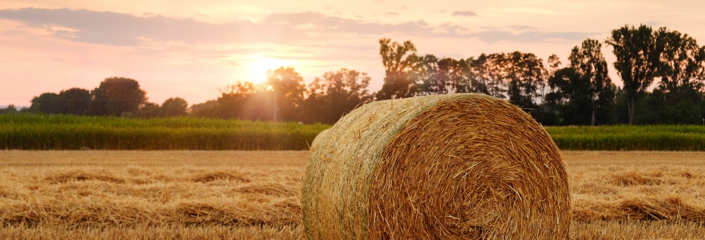 Les métiers de l’agriculture Agriculture - ©Bruno Glätsch de Pixabay
