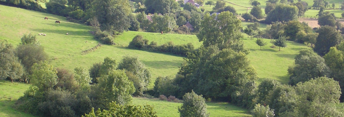 Plantation des haies Haies bocagères ©Tourisme 61