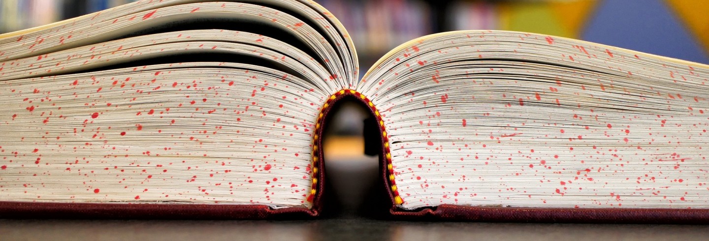 Lycées et études supérieures Etudes - ©Ken Shelton de Pixabay