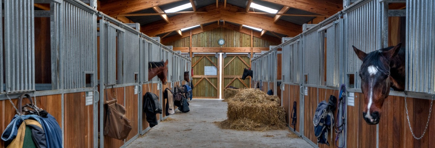 Innovation - performances Box à chevaux ©christels de Pixabay