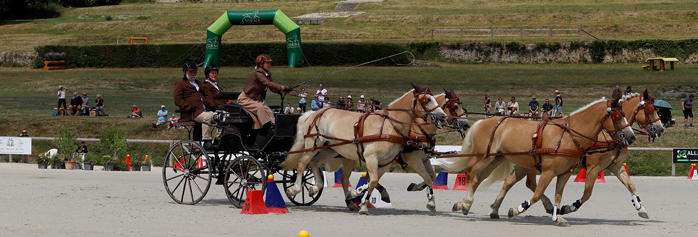 Concours attelage ©JE.Rubio-CD61