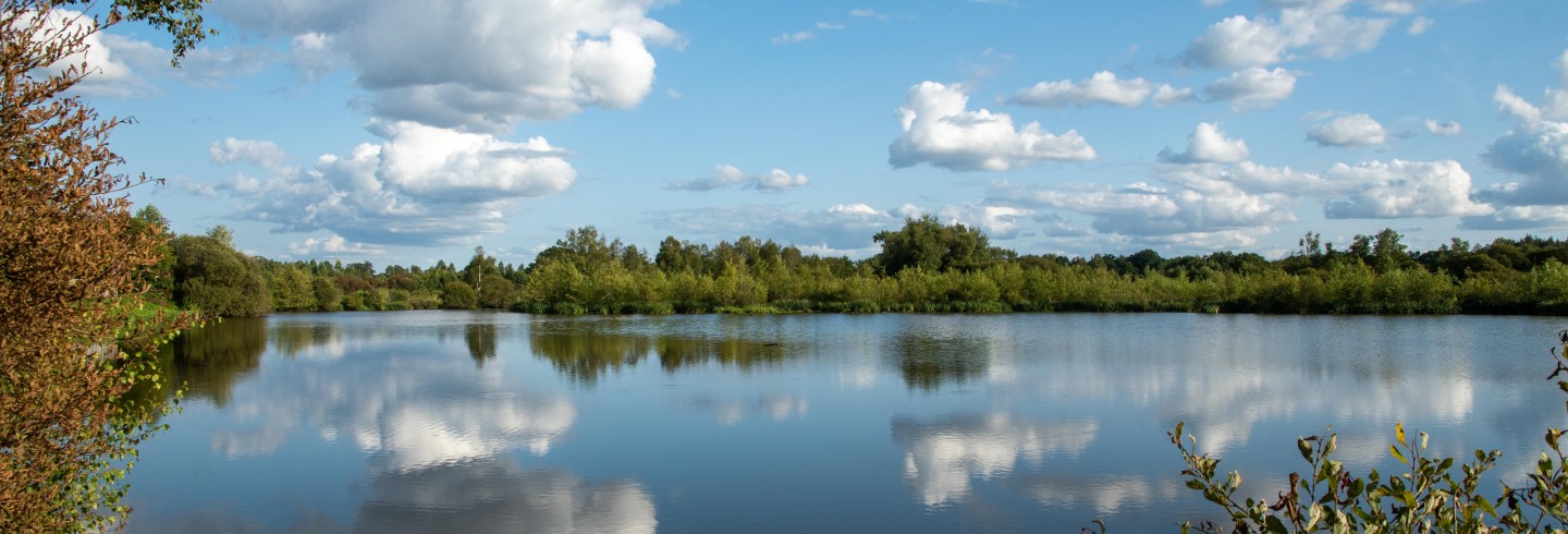 Les Aides à l'environnement Marais du Grand Hazé ©D.Commenchal-CD61