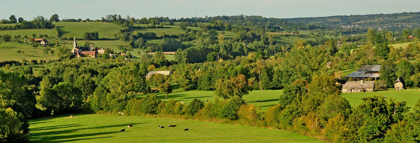 Économie dans l'Orne Camembert en été ©Martine Dekeyser-Tourisme61