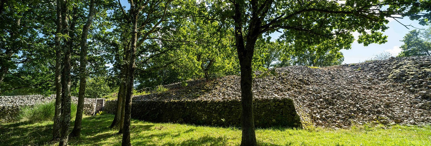 Camp de Bierre ©D.Commenchal-CD61