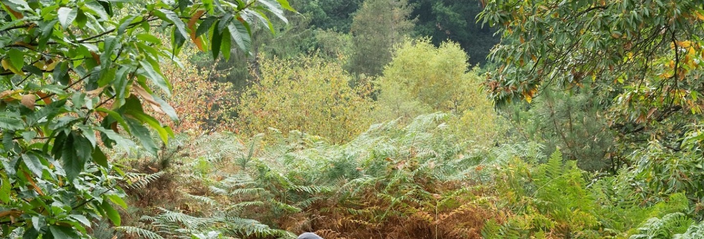 En août, 38 «balades nature»