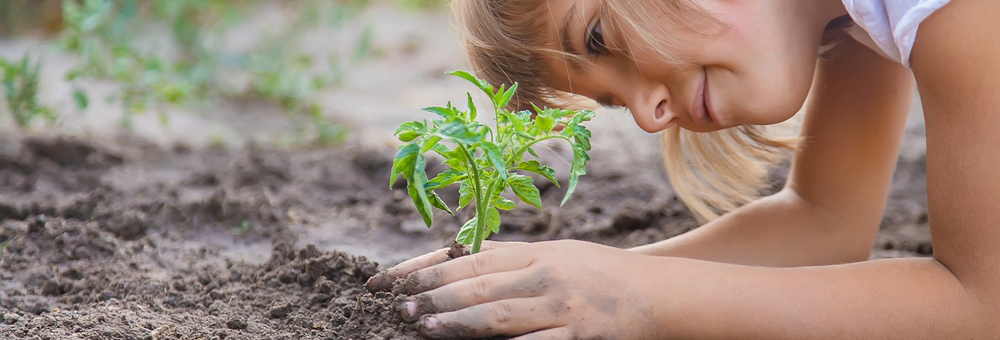 Développement durable ©yanadjan-adobestock_331906529