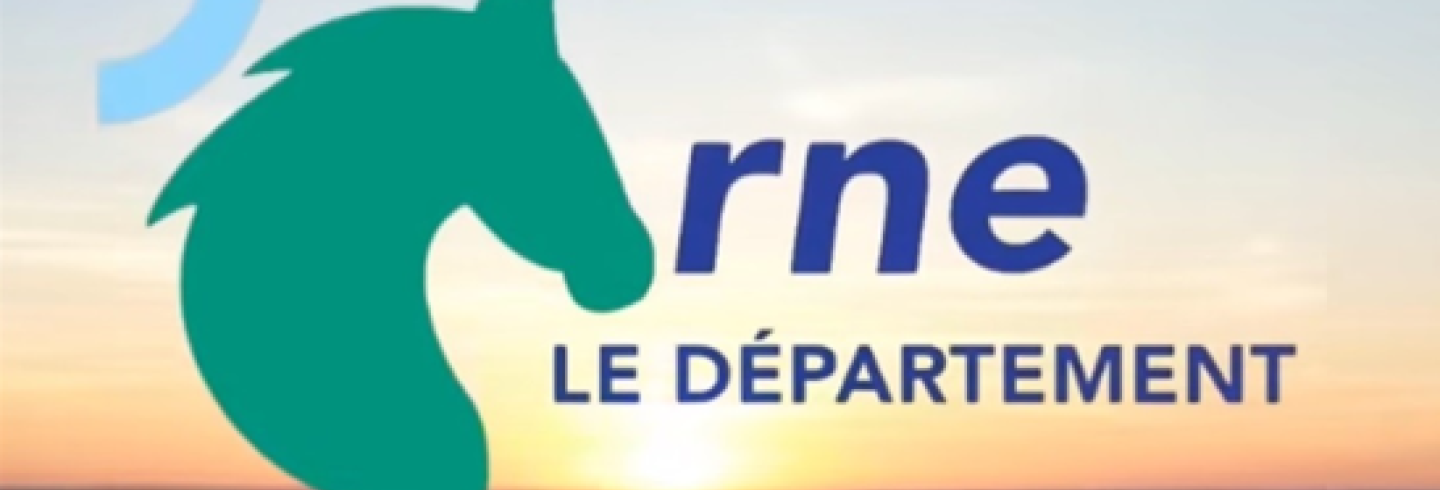Logo frauduleux