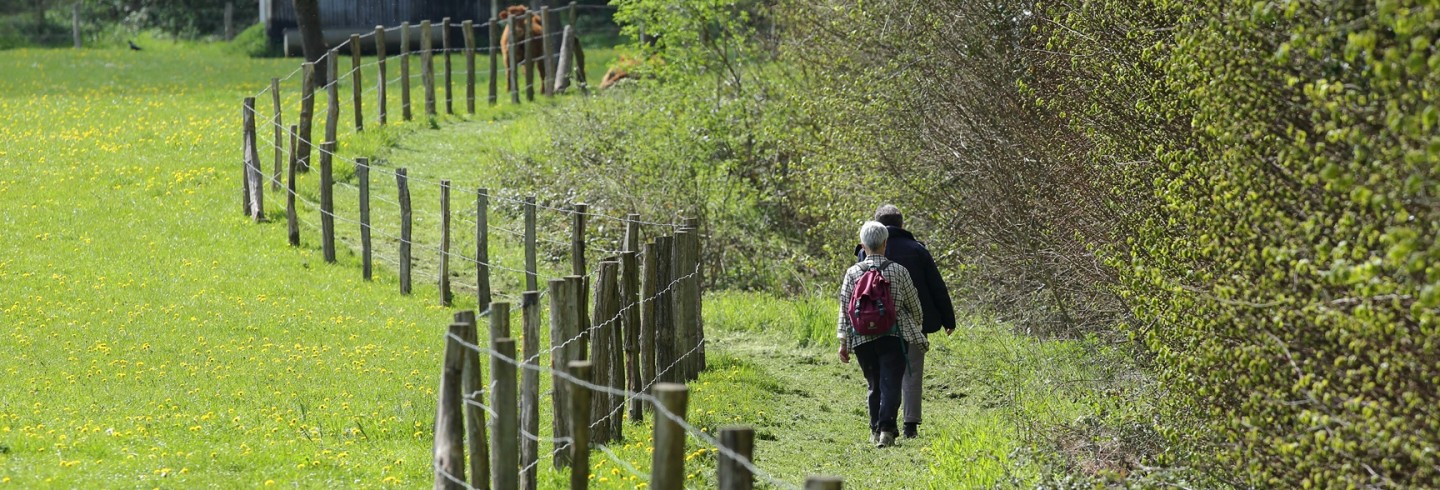 Randos 61 2026 - C.Aubert.jpg