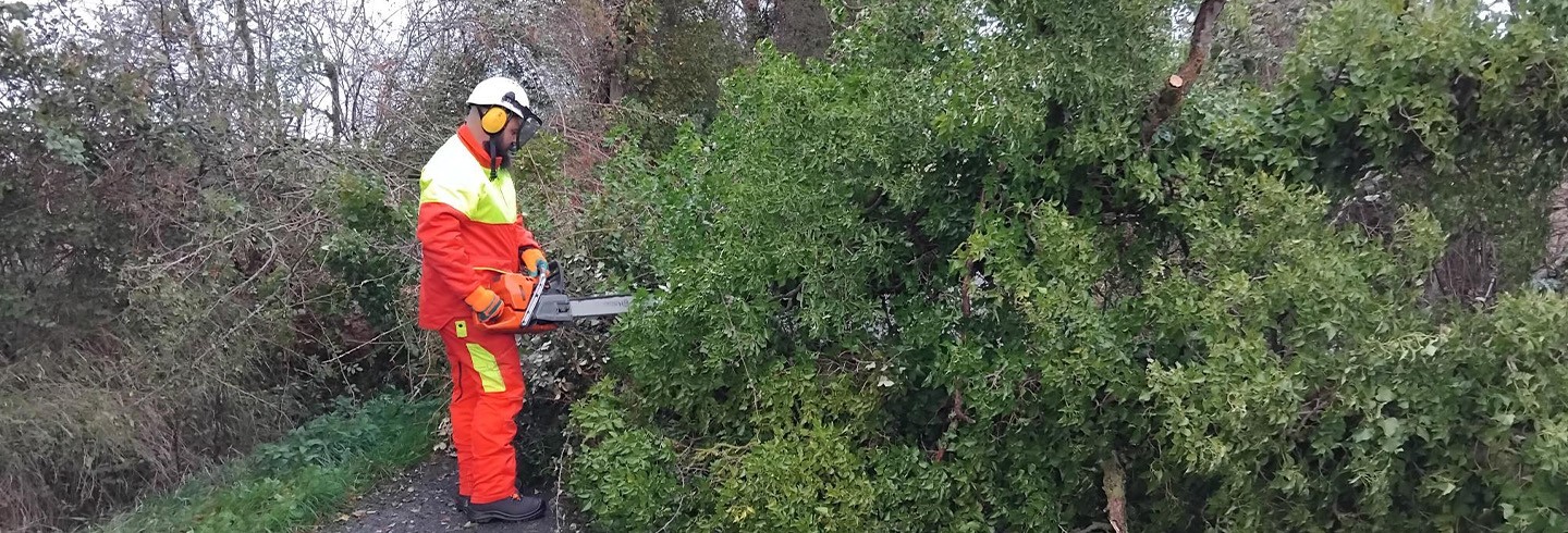 Tempête Austen dans l'Orne 2026 ©CD61