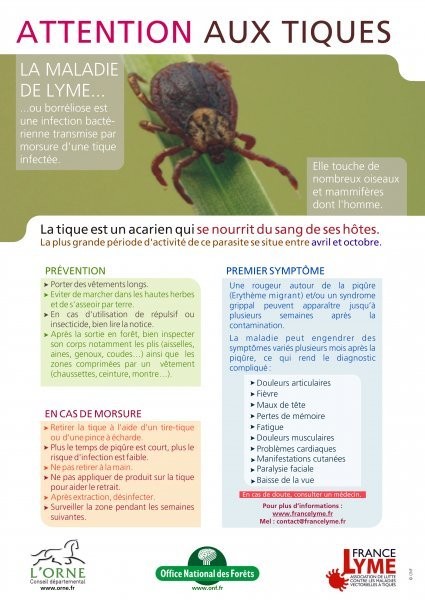 Affiche Maladie de Lyme ©CD61