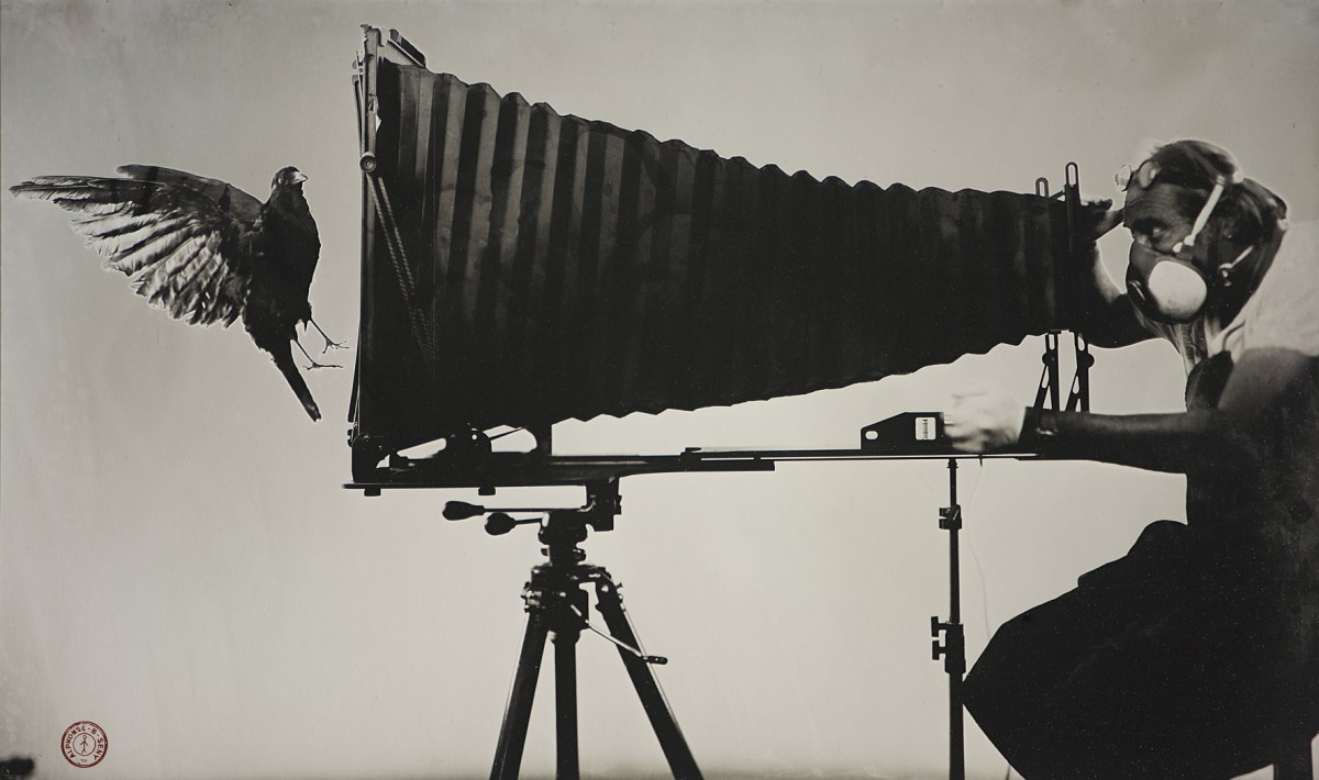 © ALPHONSE-BERNARD SENY © ALPHONSE-BERNARD SENY