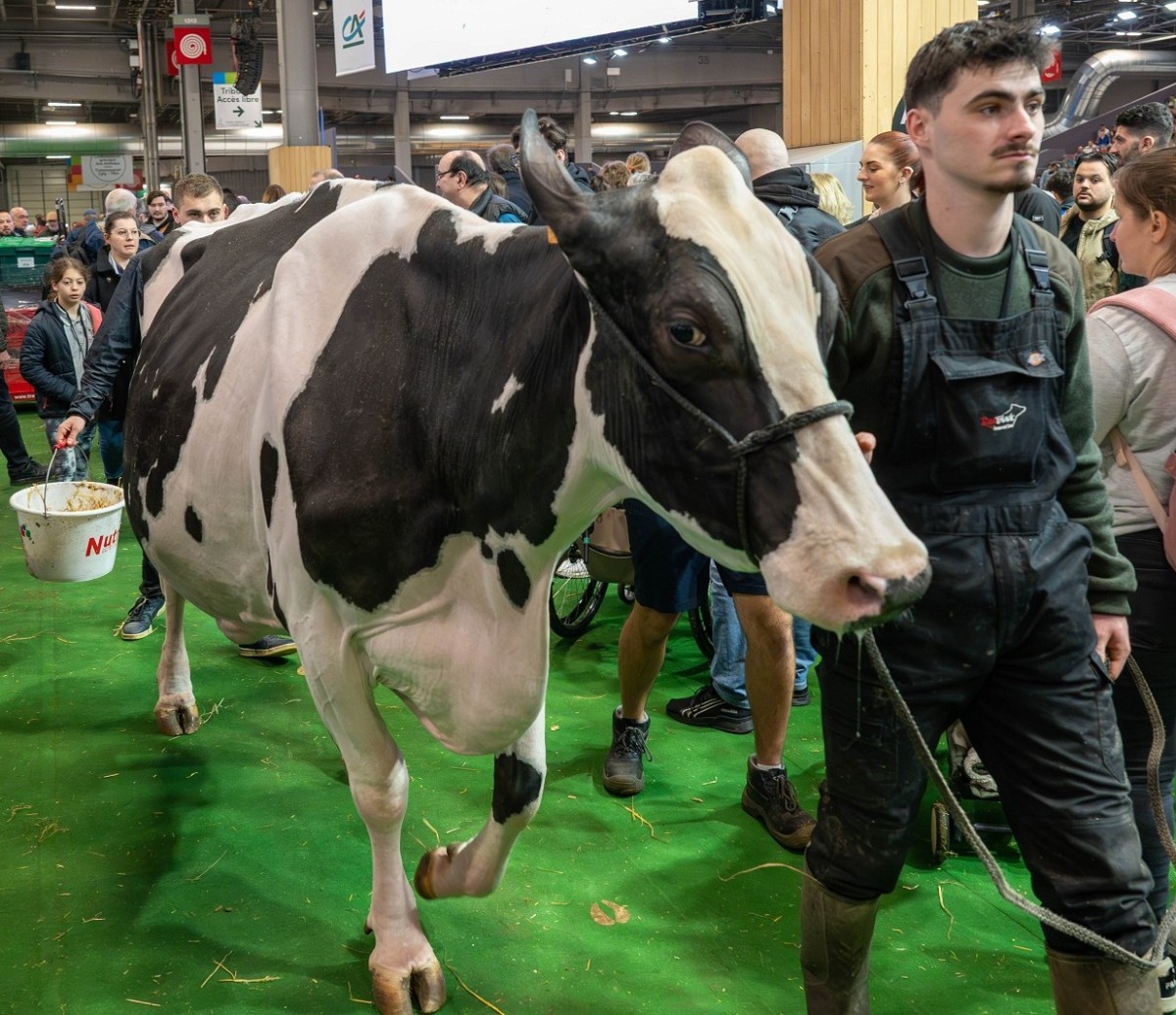 Salon International de l'Agriculture ©CD61