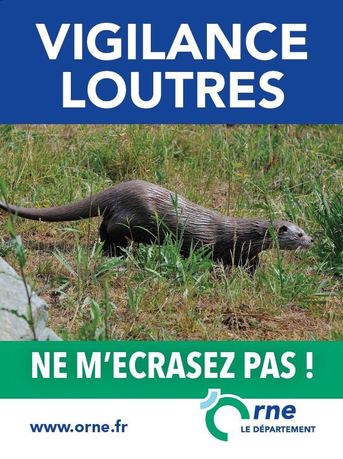 Vigilance loutres 2025 ©CD61