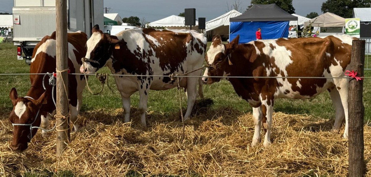 Aide aux agriculteurs ©CD61