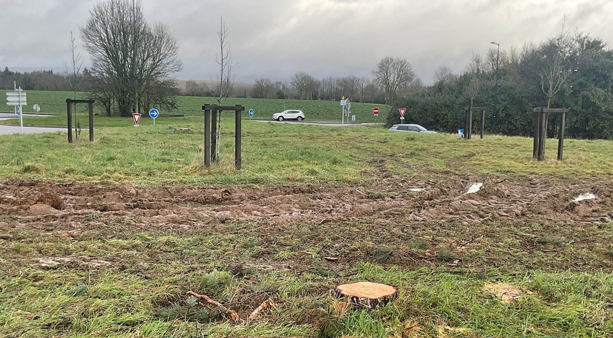 replantation arbres site Universitaire Damigny 2026 ©CD61