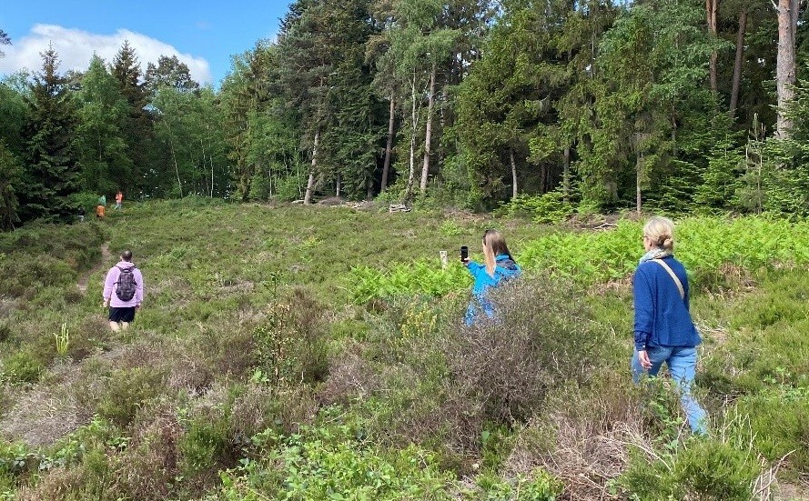 Rando Les collines du Perche : l’Huisne panoramique - CD61