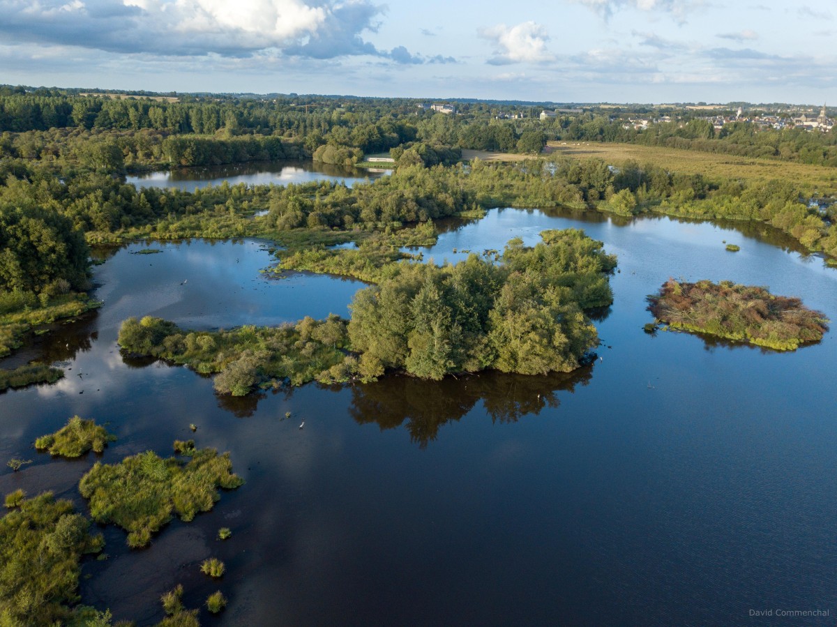 Rando Grand Hazé - D.Commenchal