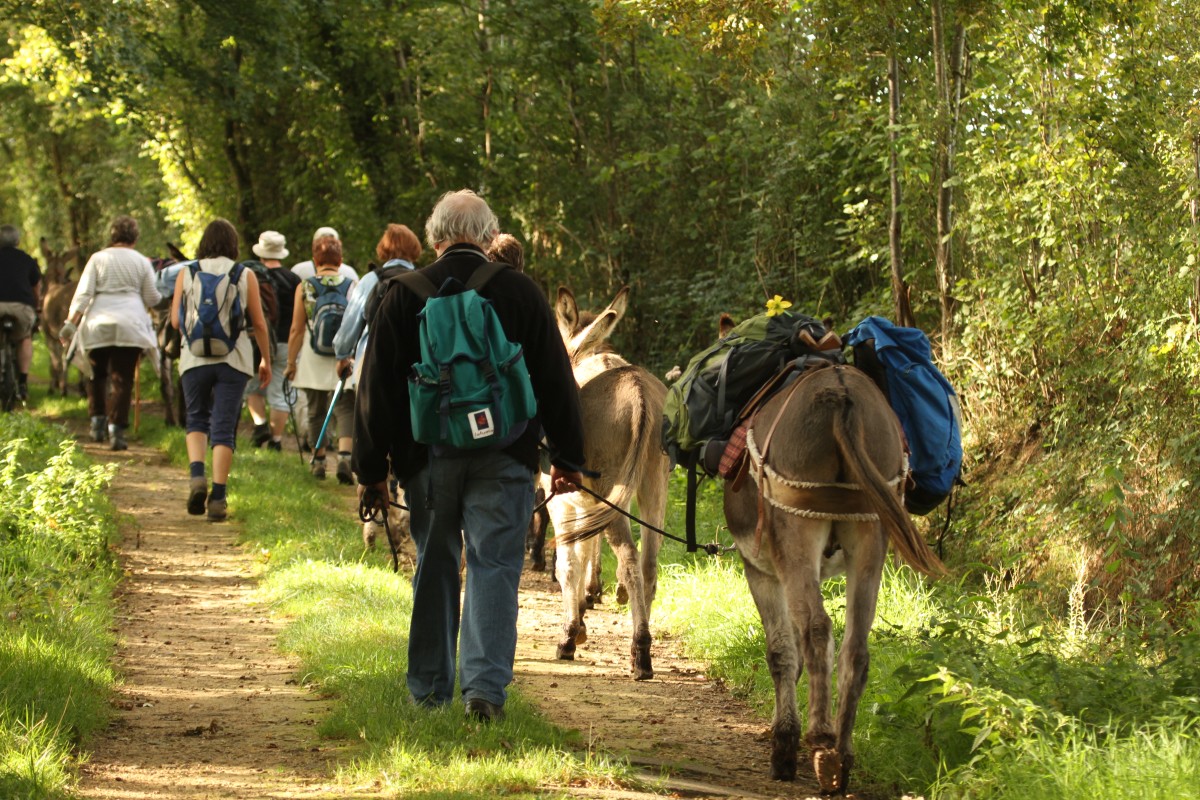 Rando Écouves avec des ânes - Claude Danjou