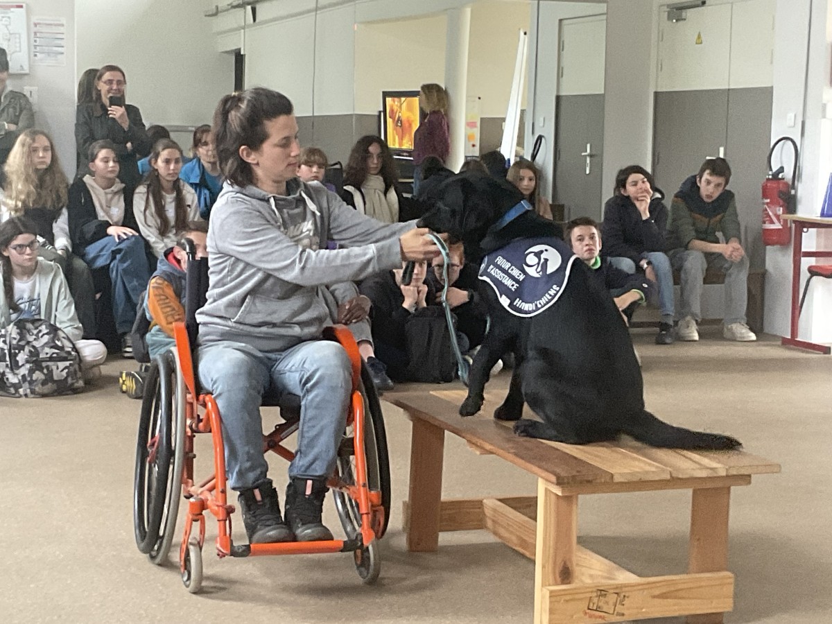 Passeport Orne Civisme - atelier Handi'Chiens 2026 - CD61