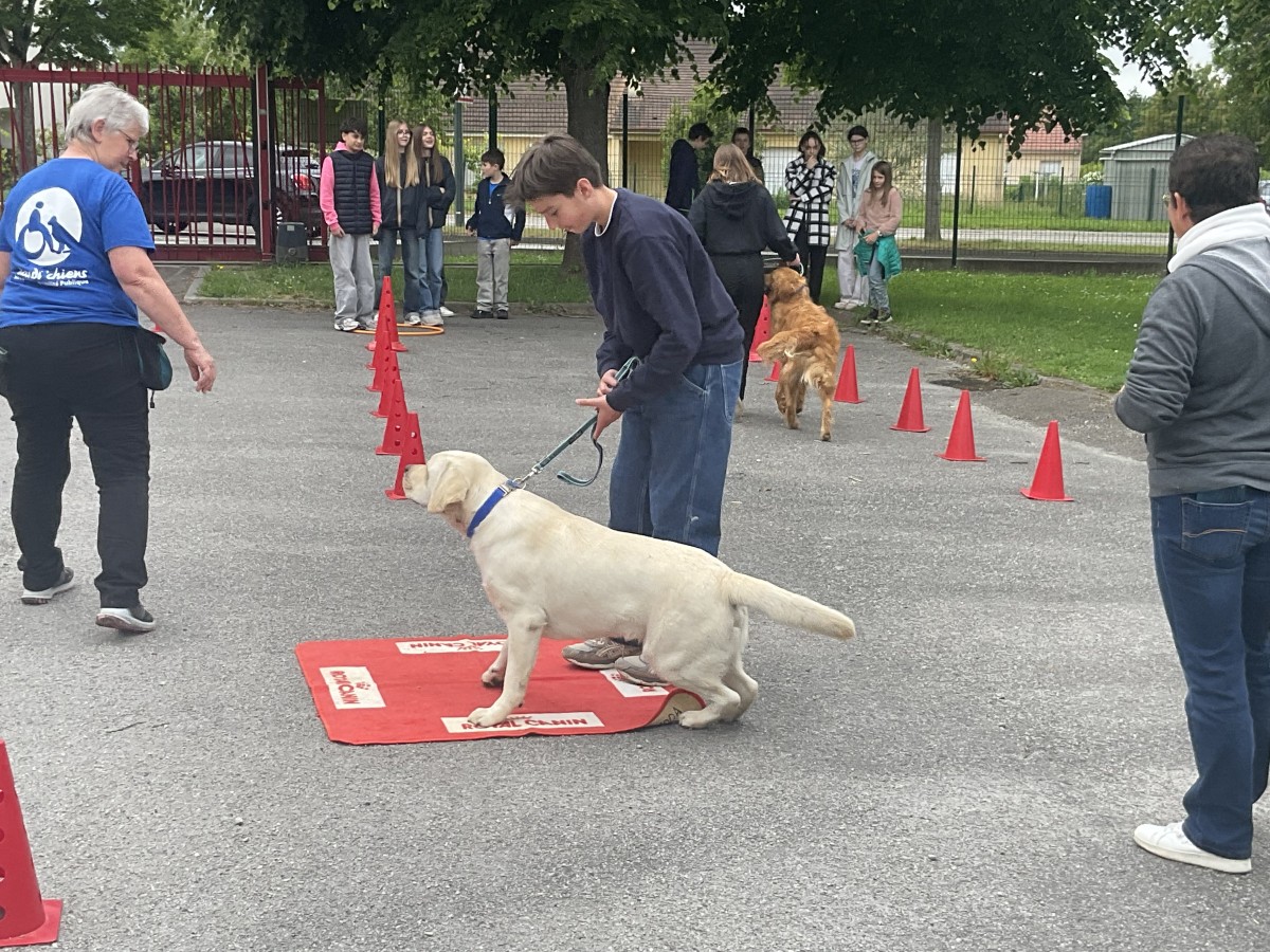 Handi'Chiens 2026 - Passeport Orne Civisme - CD61