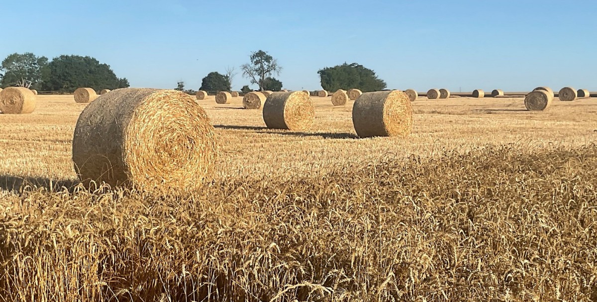 Investissements agricoles ©CD61