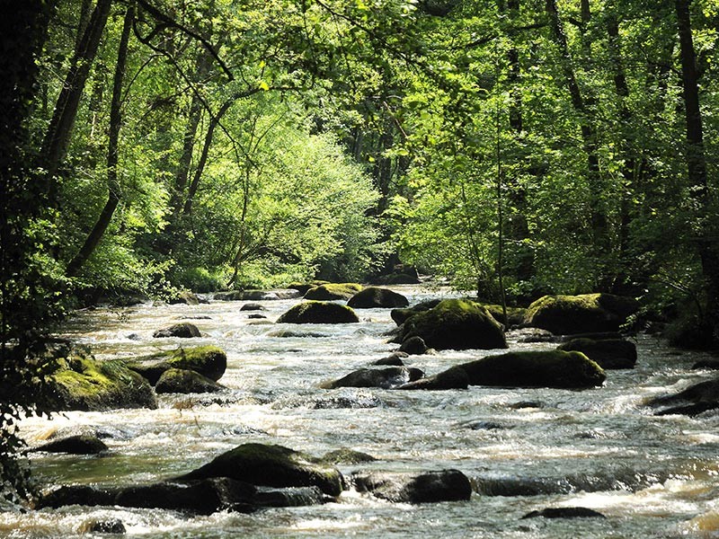 Roche d'Oëtre et gorges de la Rouvre | © D Commenchal Roche d'Oëtre et gorges de la Rouvre | © D Commenchal