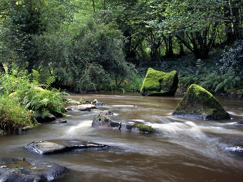 Roche d'Oëtre et gorges de la Rouvre | © JE Rubio Roche d'Oëtre et gorges de la Rouvre | © JE Rubio