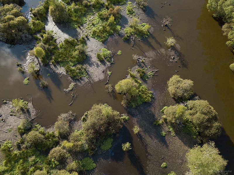 Marais du Grand Hazé | © D. Commenchal Marais du Grand Hazé | © D. Commenchal