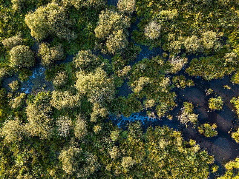 Marais du Grand Hazé | © D. Commenchal Marais du Grand Hazé | © D. Commenchal