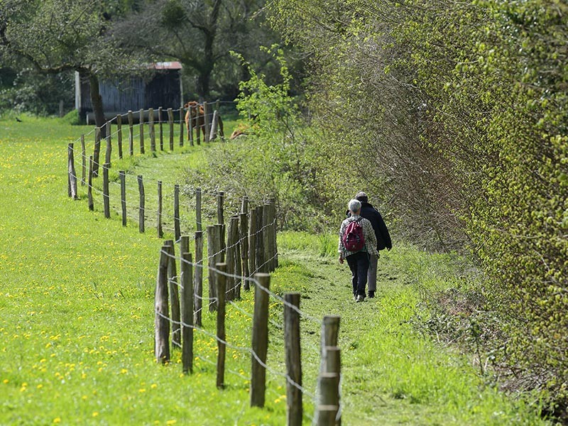 Les Méandres de l'Orne | © C Aubert Les Méandres de l'Orne | © C Aubert