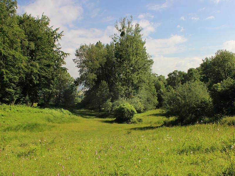 Site de Sainte Eugénie | © JE Rubio Site de Sainte Eugénie | © JE Rubio