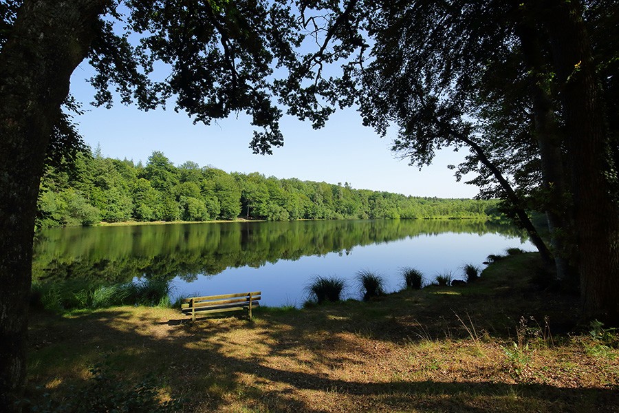 Etang de la lande forêt - Le Grais | © C Aubert Etang de la lande forêt - Le Grais | © C Aubert