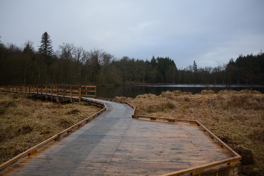 Etang de la lande forêt - Le Grais | CD Orne Etang de la lande forêt - Le Grais | CD Orne