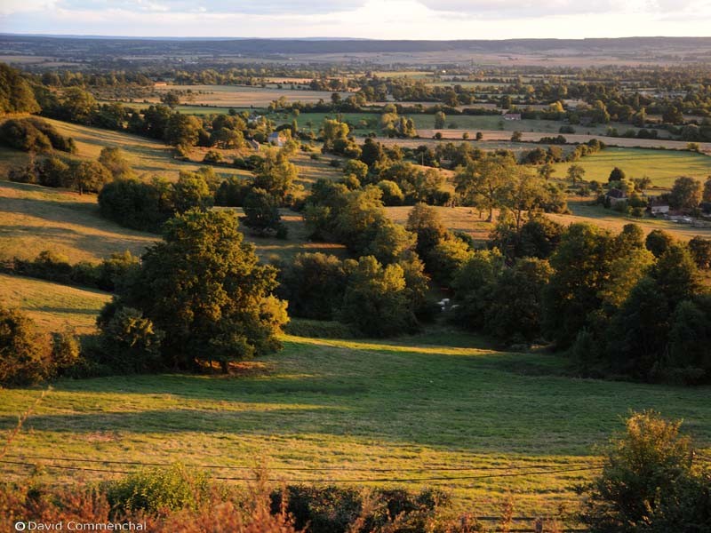 Les coteaux historiques - Coudehard | © D. Commenchal Les coteaux historiques - Coudehard | © D. Commenchal