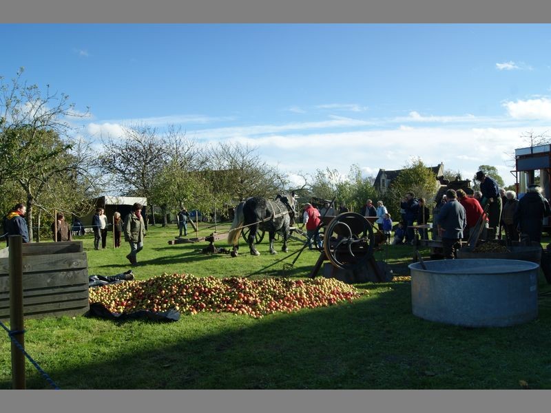 ecomusee_arbrecidre_800_2 | credit_ecomuseeduperche ecomusee_arbrecidre_800_2 | credit_ecomuseeduperche