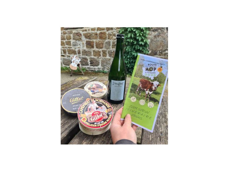 GOUTER800 | CPIE 61 GOUTER800 | CPIE 61