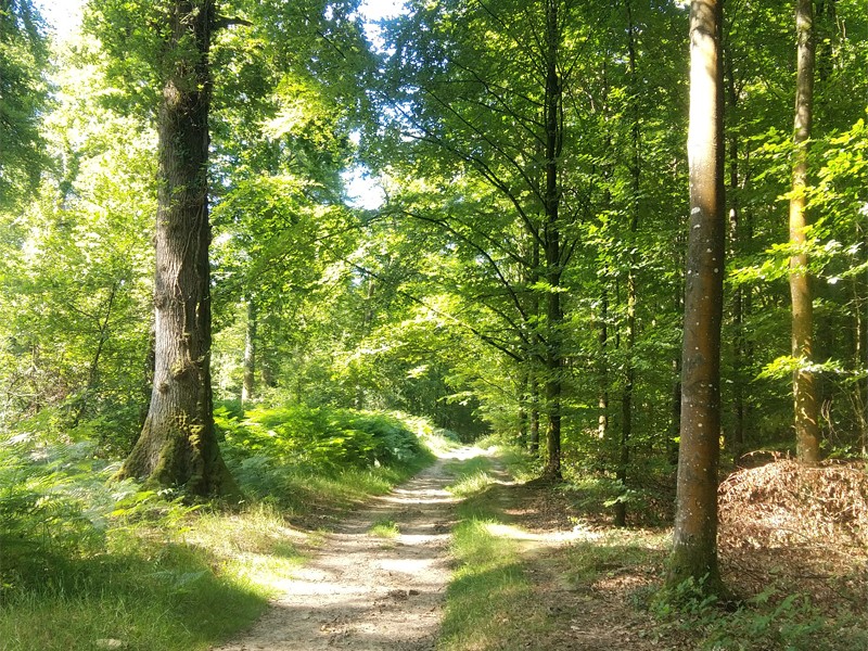 bagnoles-orne-forêt | Be Bagnoles bagnoles-orne-forêt | Be Bagnoles