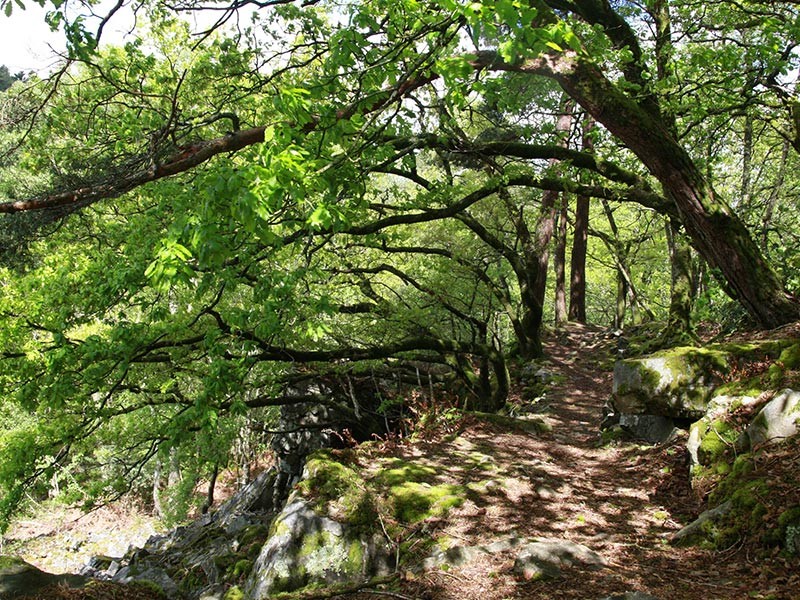 Gorges de Villiers | © CD 61 Gorges de Villiers | © CD 61