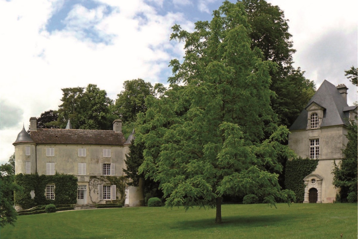 SAINT-CHRISTOPHE-LE-JAJOLET | DREAL/P.Galineau SAINT-CHRISTOPHE-LE-JAJOLET | DREAL/P.Galineau