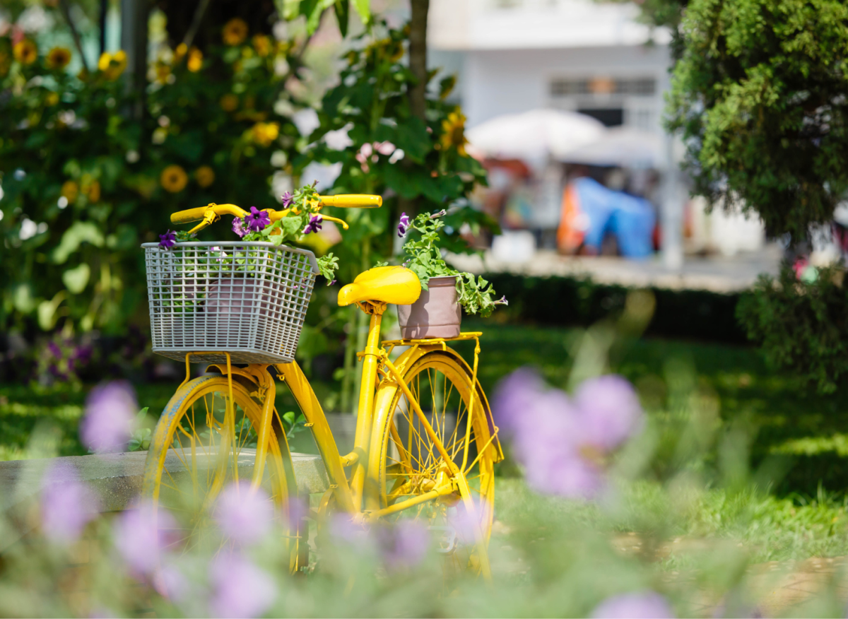velo | pixit velo | pixit